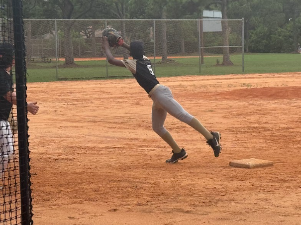 Baseball and Softball Roster
