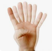 Explore The World With Diverse Visions