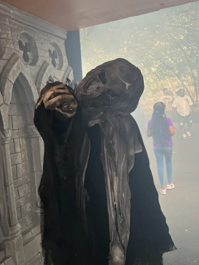 Theme Parks: Spooks and Screams