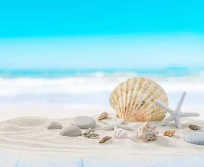 Summer: The Best and Brightest Season of All
