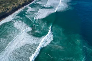 Something in the Ocean More Dangerous than Sharks